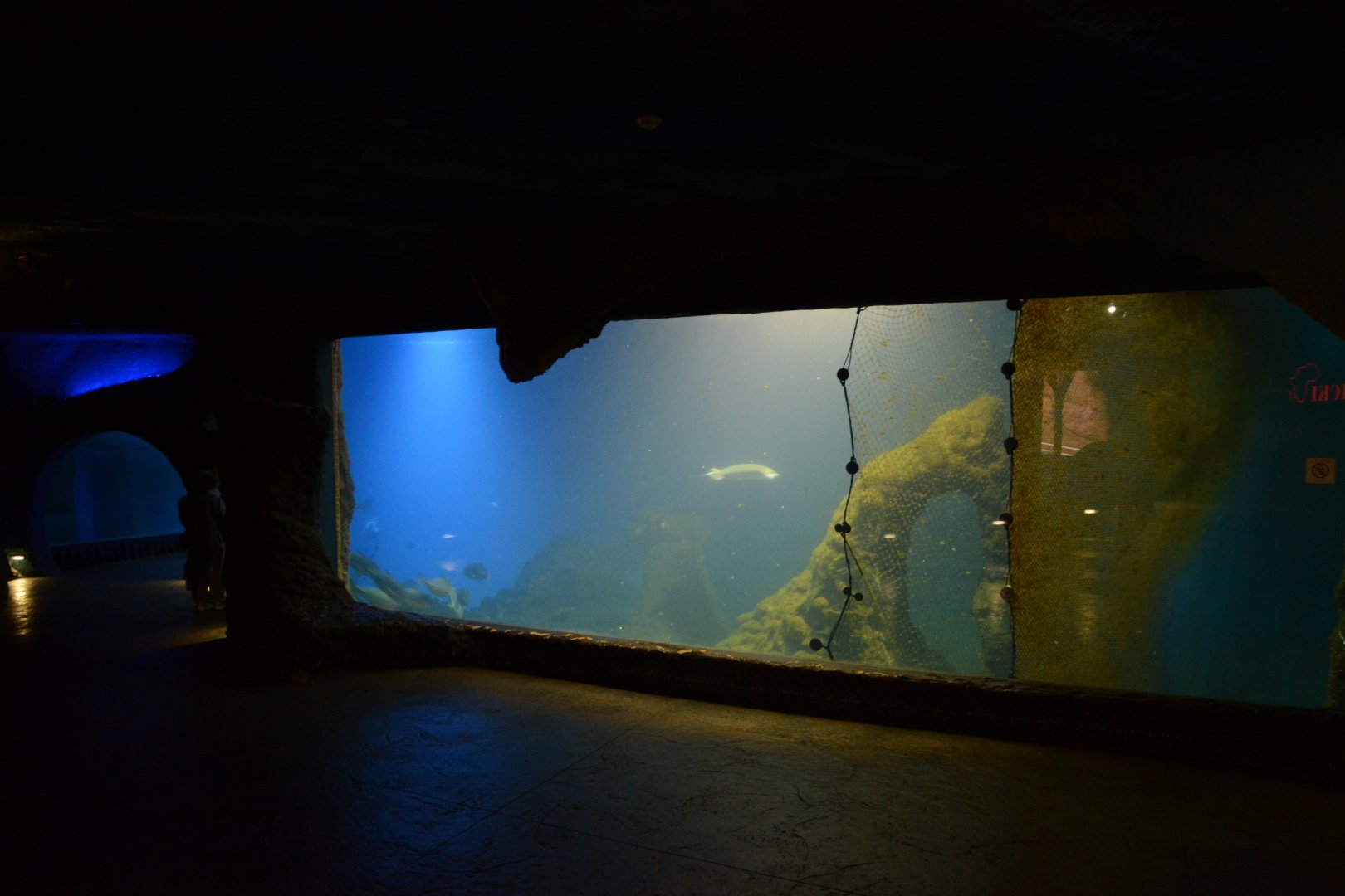 Afrykarium - Mozambique Channel tank