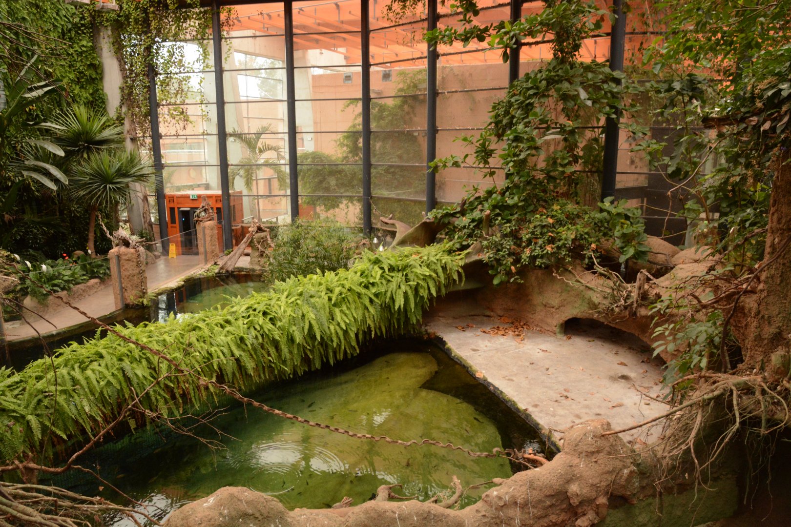 Afrykarium - Nile Crocodile enclosure