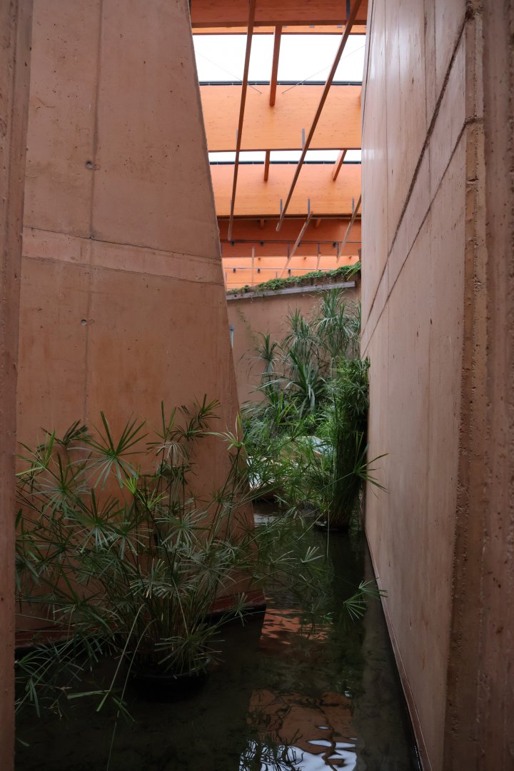 Afrykarium - Okavango swamp exhibit