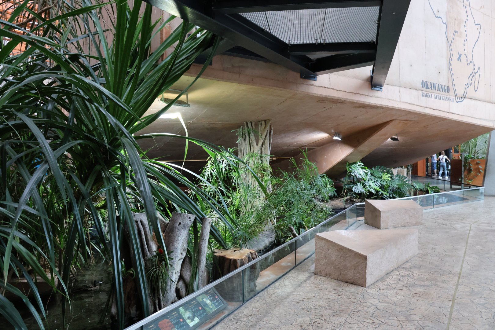 Afrykarium - Okavango swamp exhibit