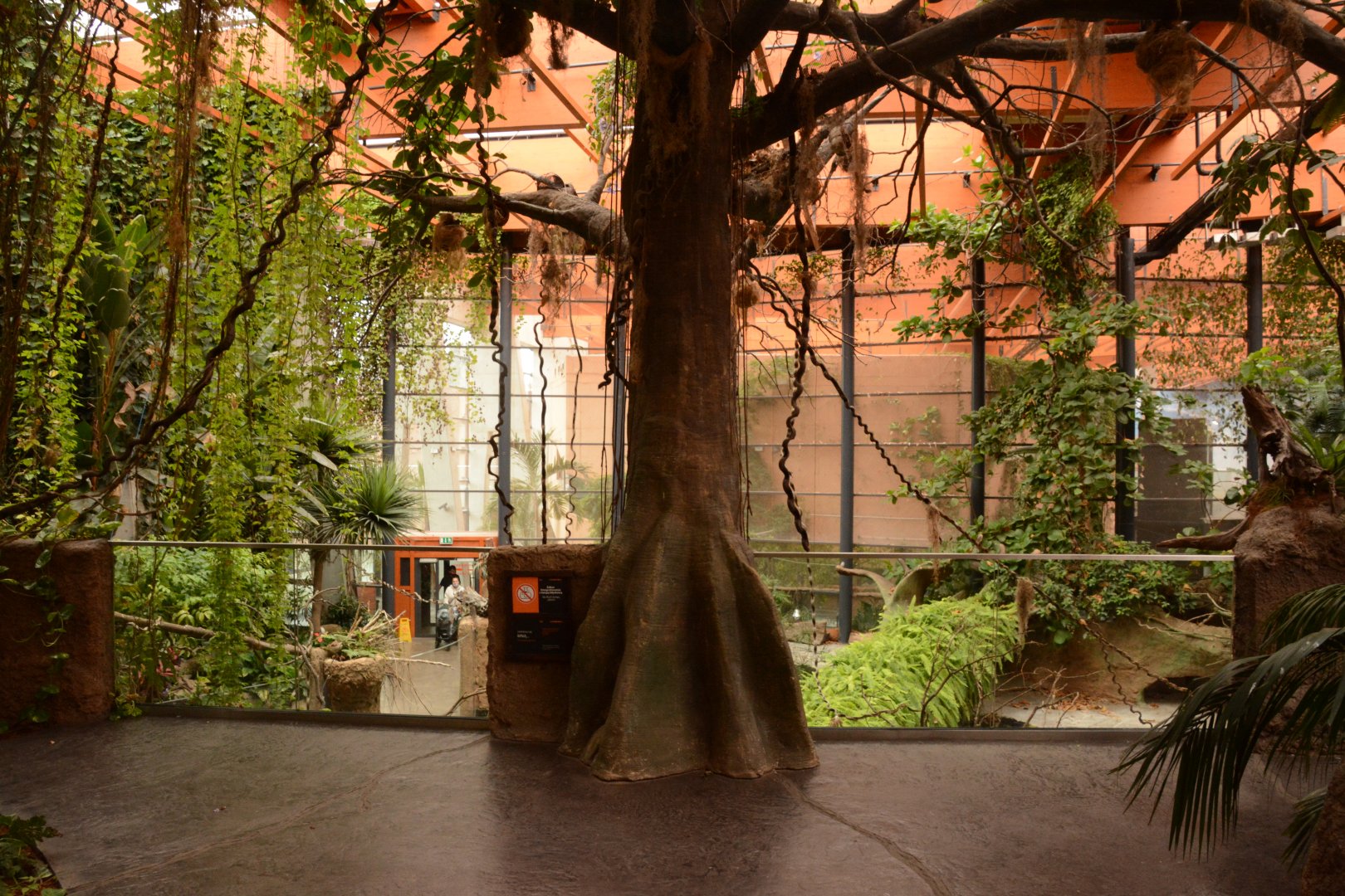 Afrykarium - Rainforest section