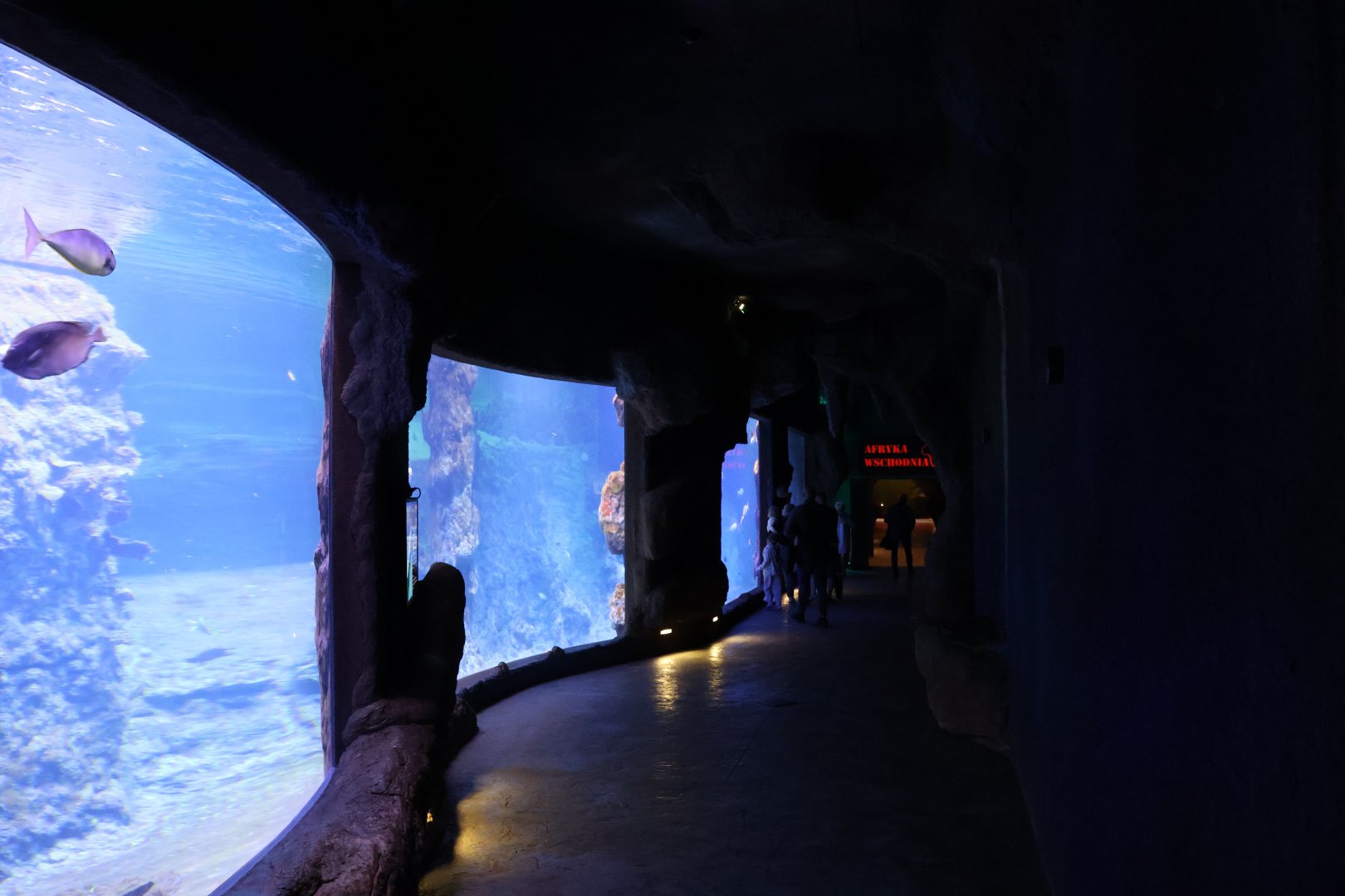 Afrykarium - Red Sea aquarium