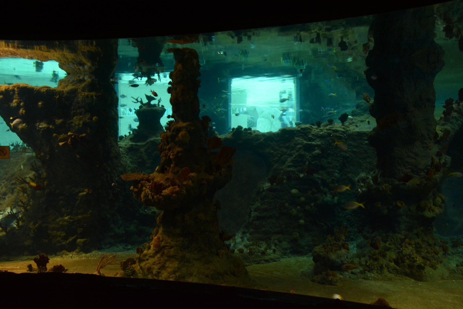Afrykarium - Red sea tank and awful cross-viewing