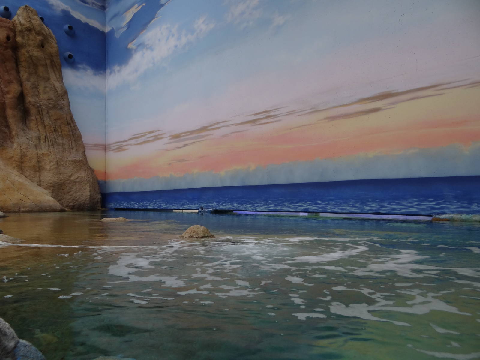 Afrykarium - Red Sea tank