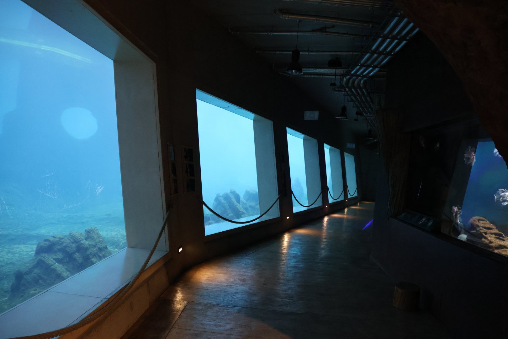 Afrykarium - Shupwreck extension - Underwaterviewing