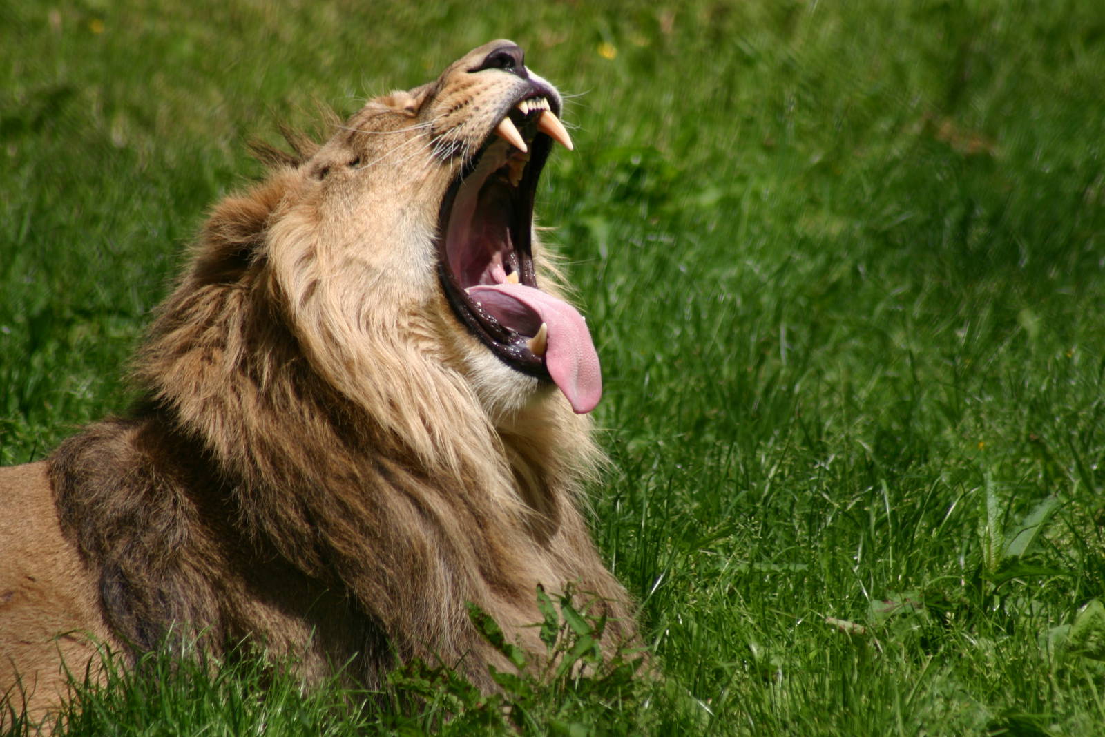 After a hard day doing nothing.