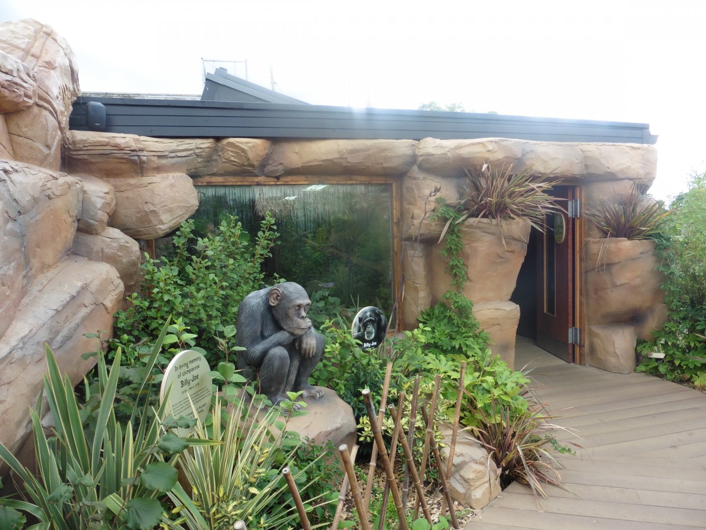 Agamid Lizard/Spiny Turtle House