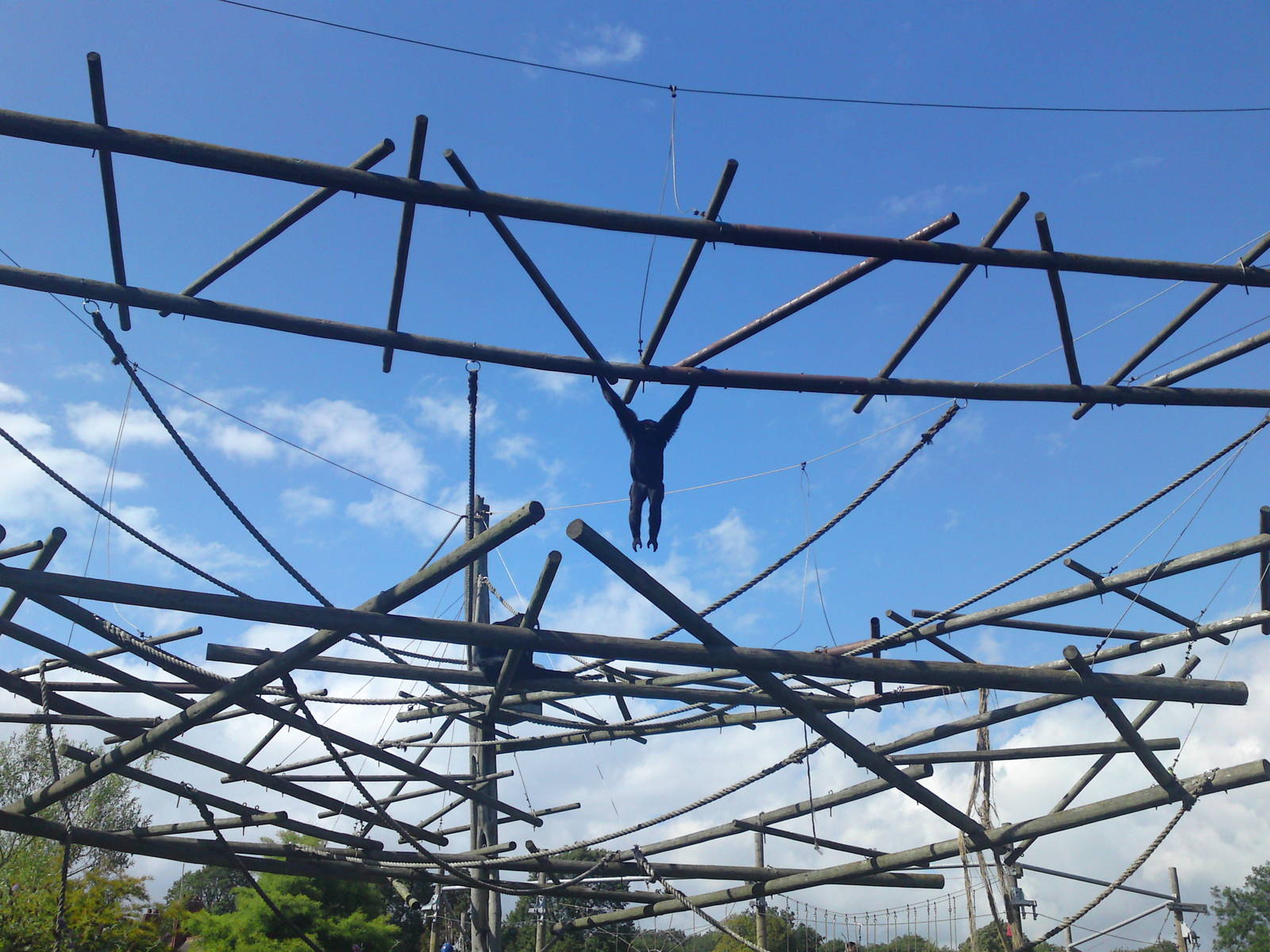 Agile Gibbon 14/8/11