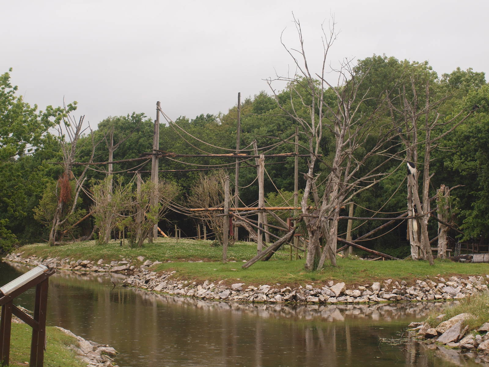 agile gibbon and colobus islands