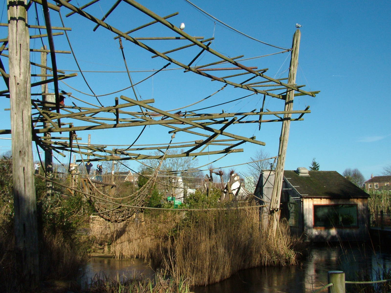 Agile Gibbon enclosure at Bristol 19/12/09