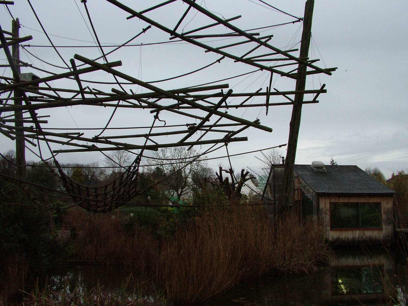 Agile Gibbon enclosure at Bristol Dec 08
