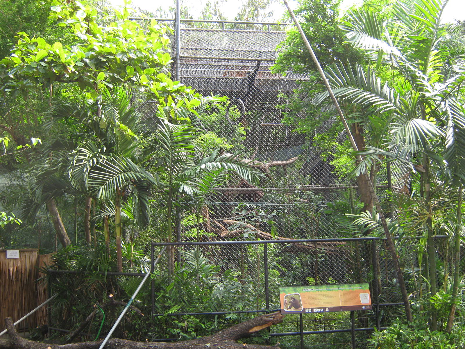 agile gibbon enclosure