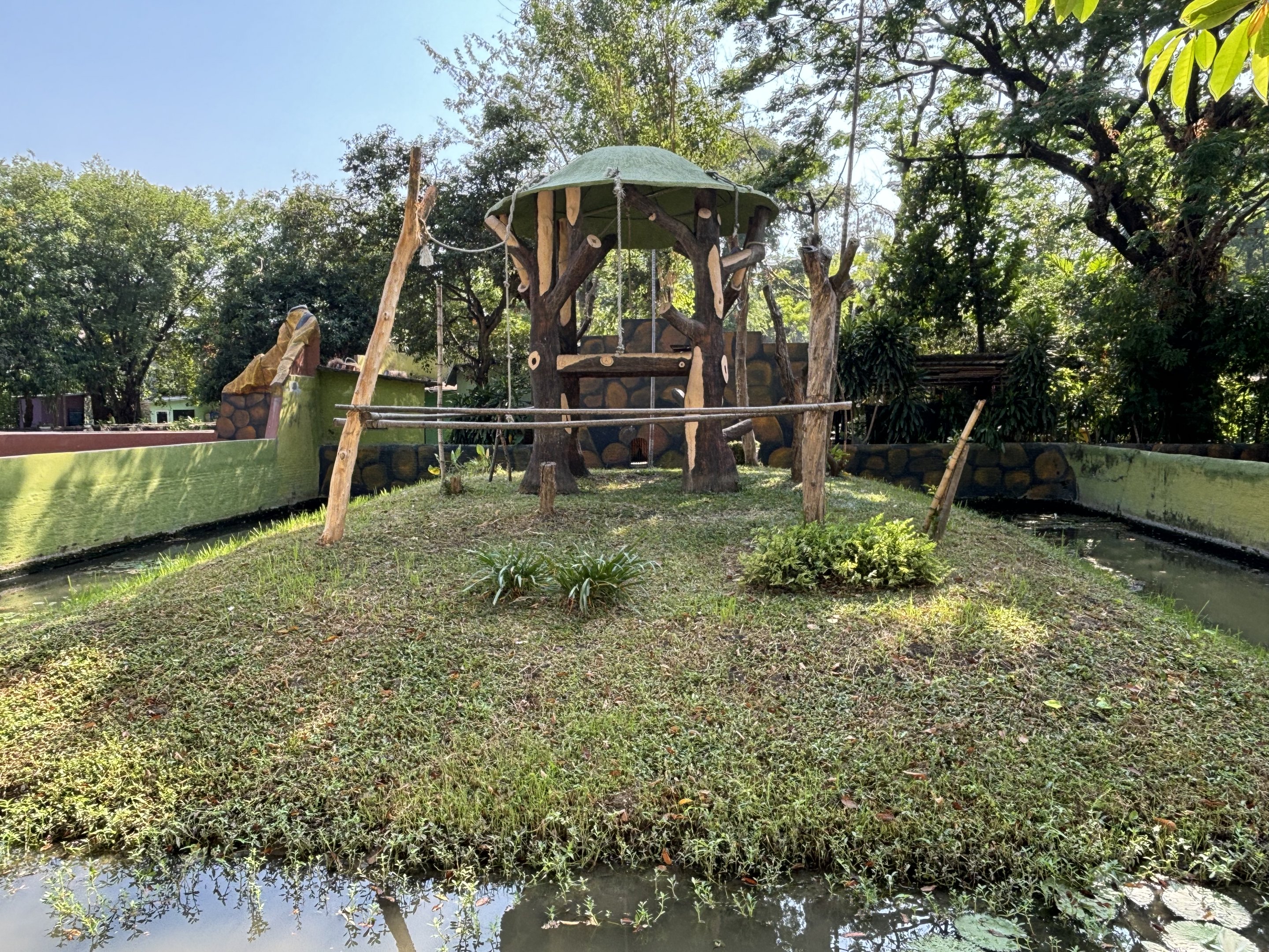 Agile Gibbon Exhibit #1