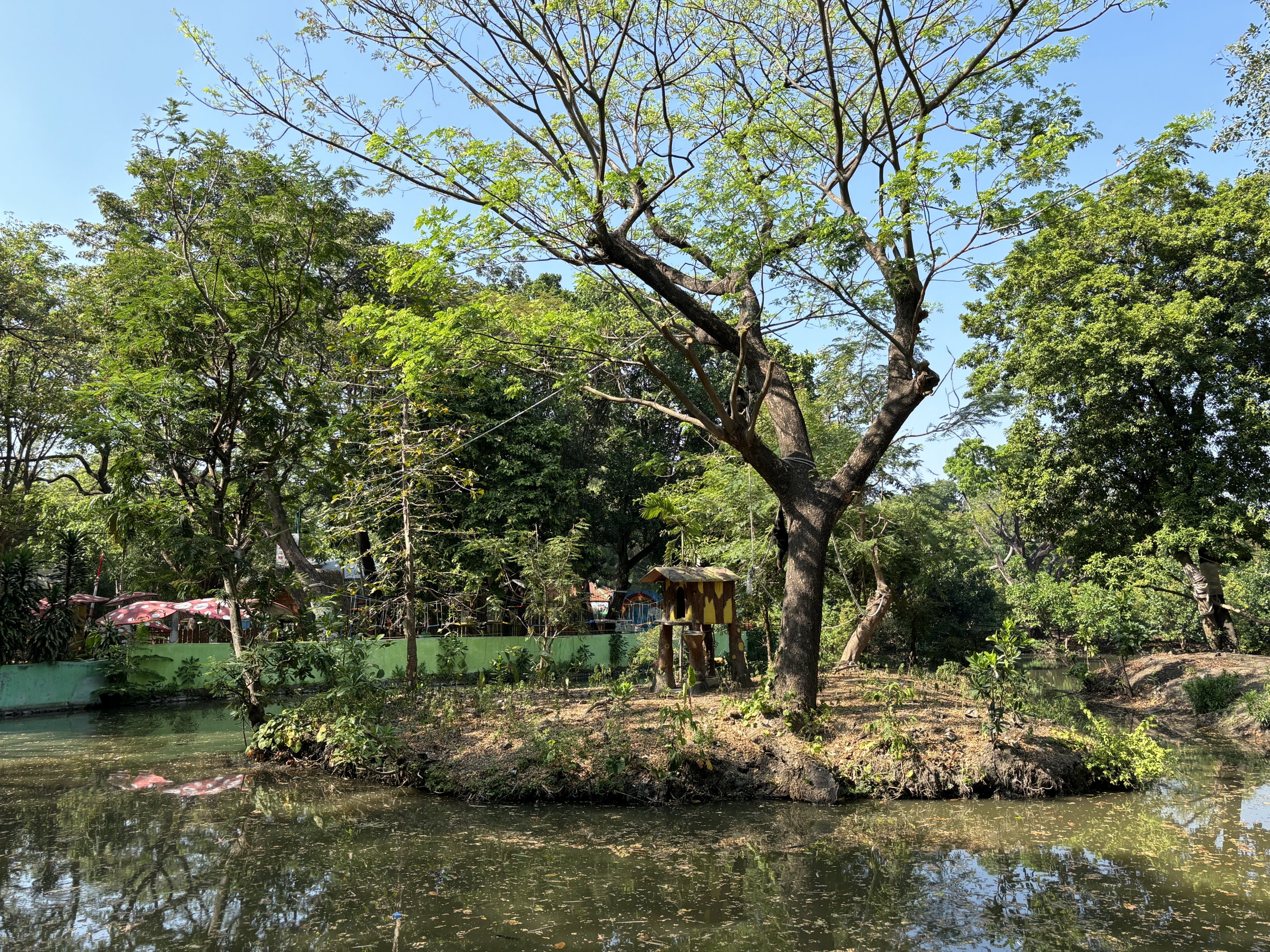 Agile Gibbon Exhibit #2