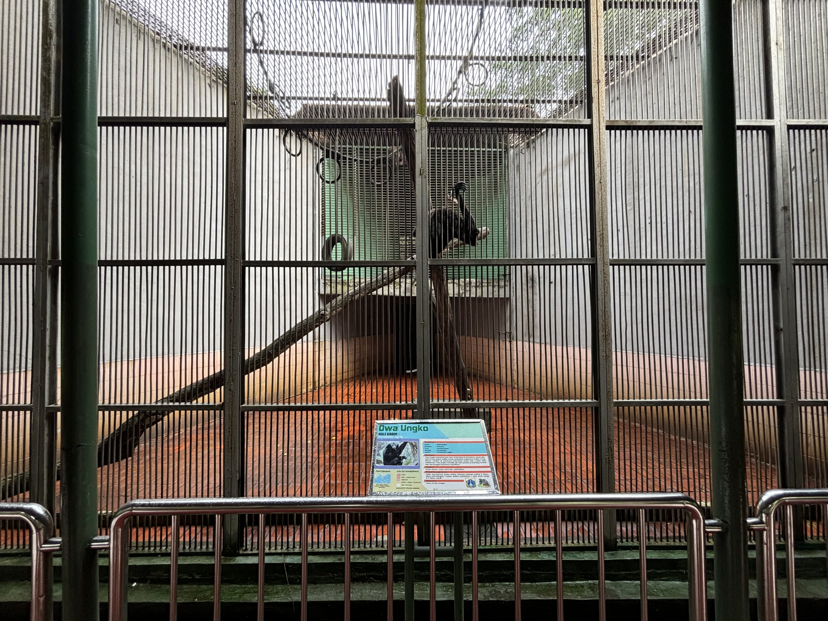 Agile Gibbon Exhibit #2