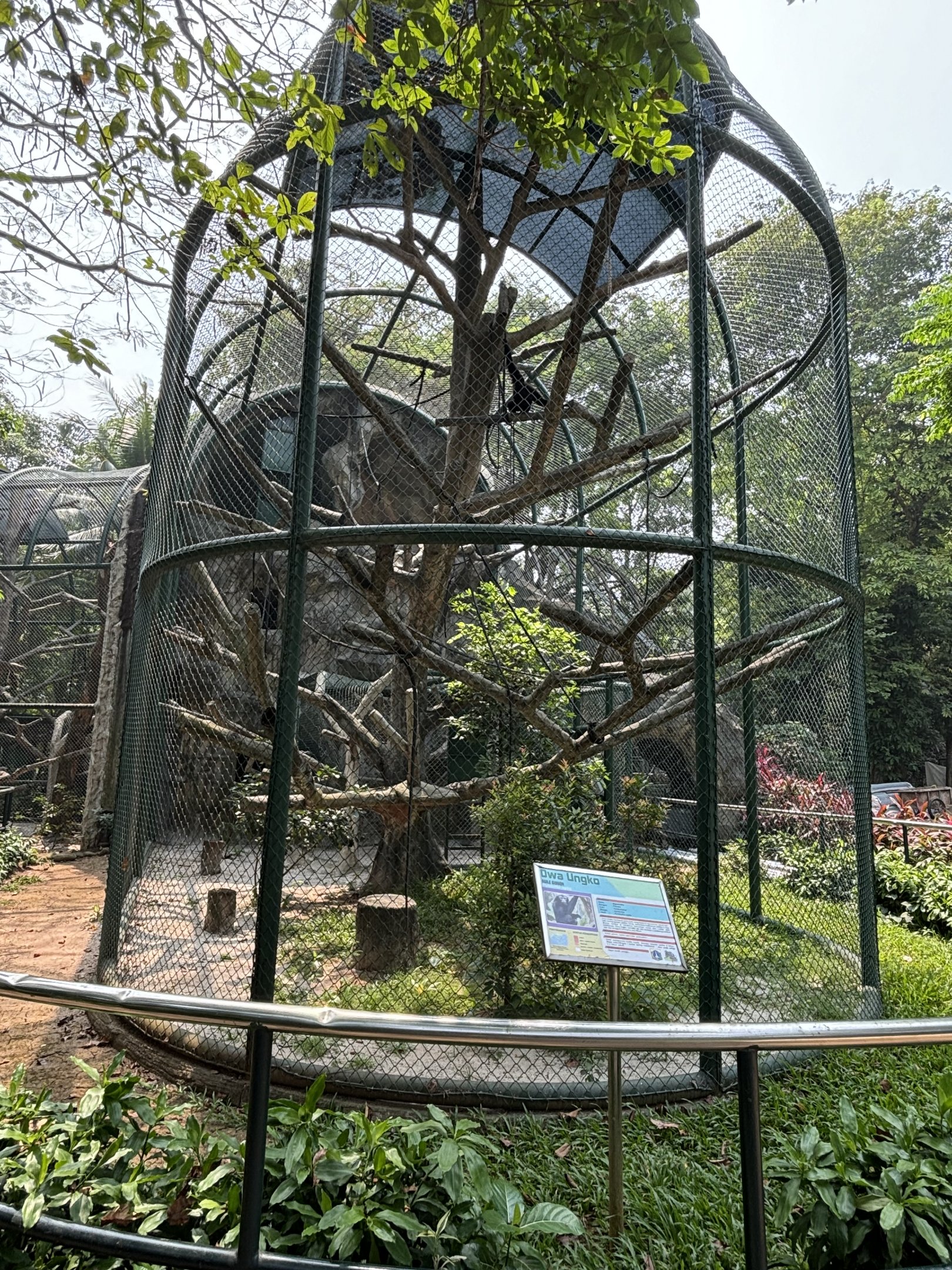 Agile Gibbon Exhibit #3