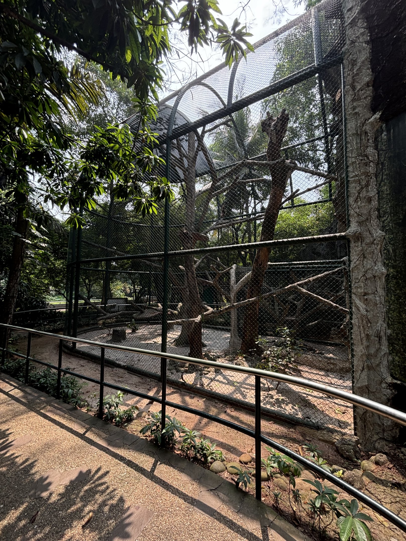 Agile Gibbon Exhibit #4