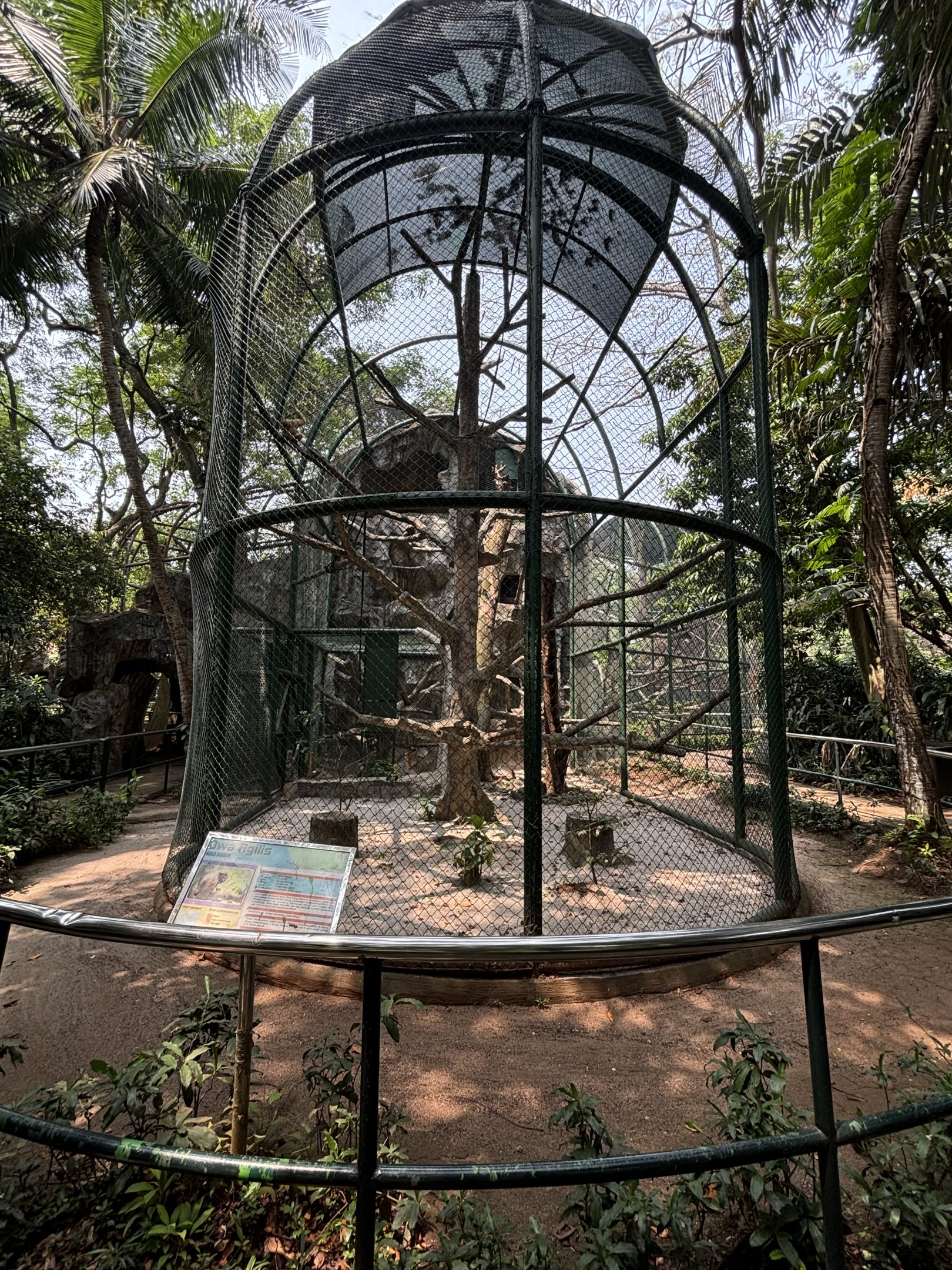 Agile Gibbon Exhibit #4