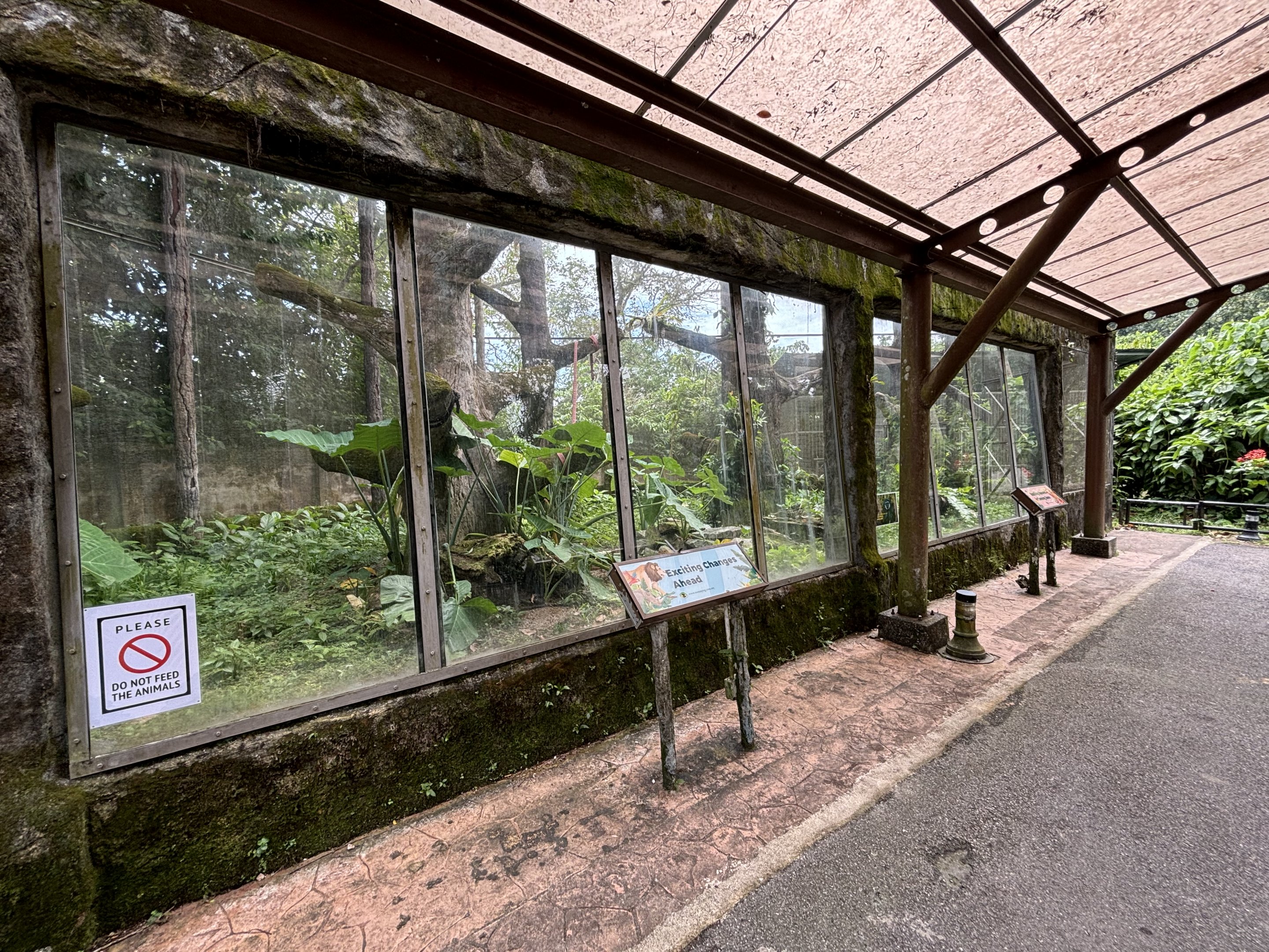 Agile Gibbon Exhibit