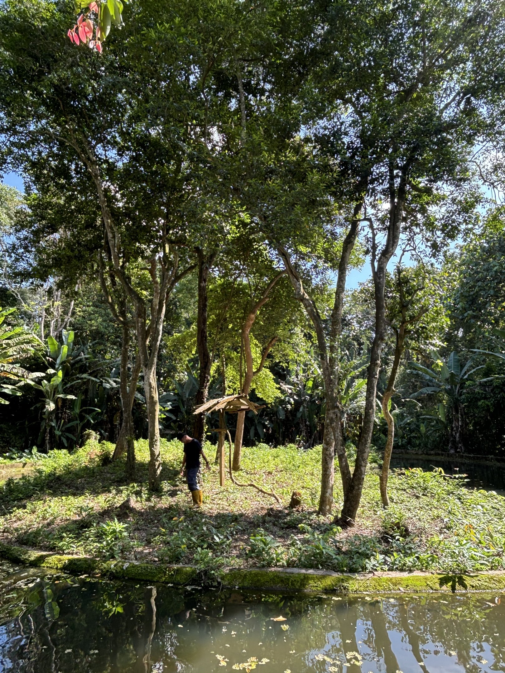 Agile Gibbon Exhibit