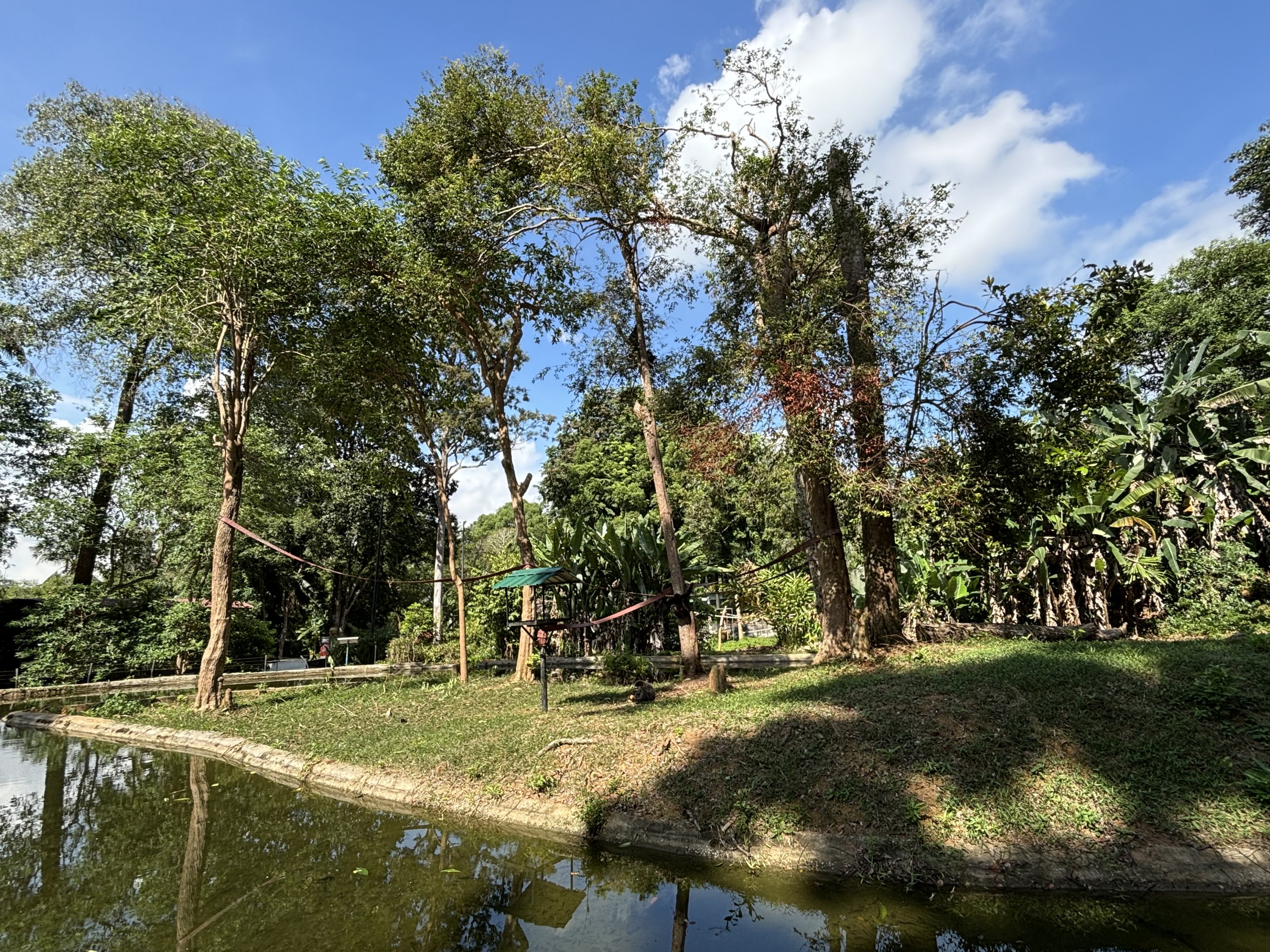 Agile Gibbon Exhibit