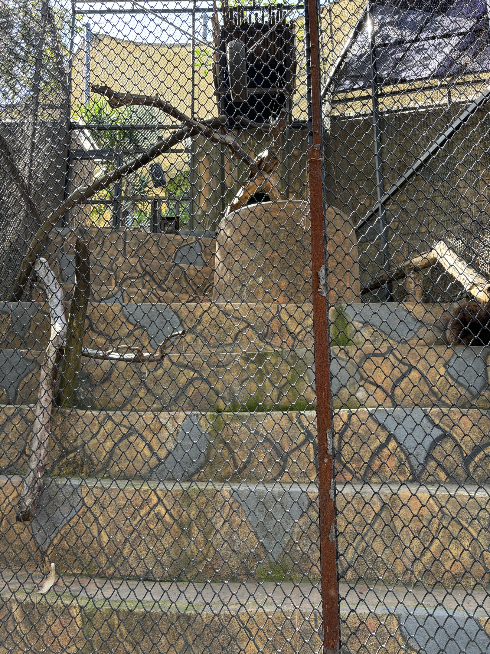 Agile Gibbon Exhibit