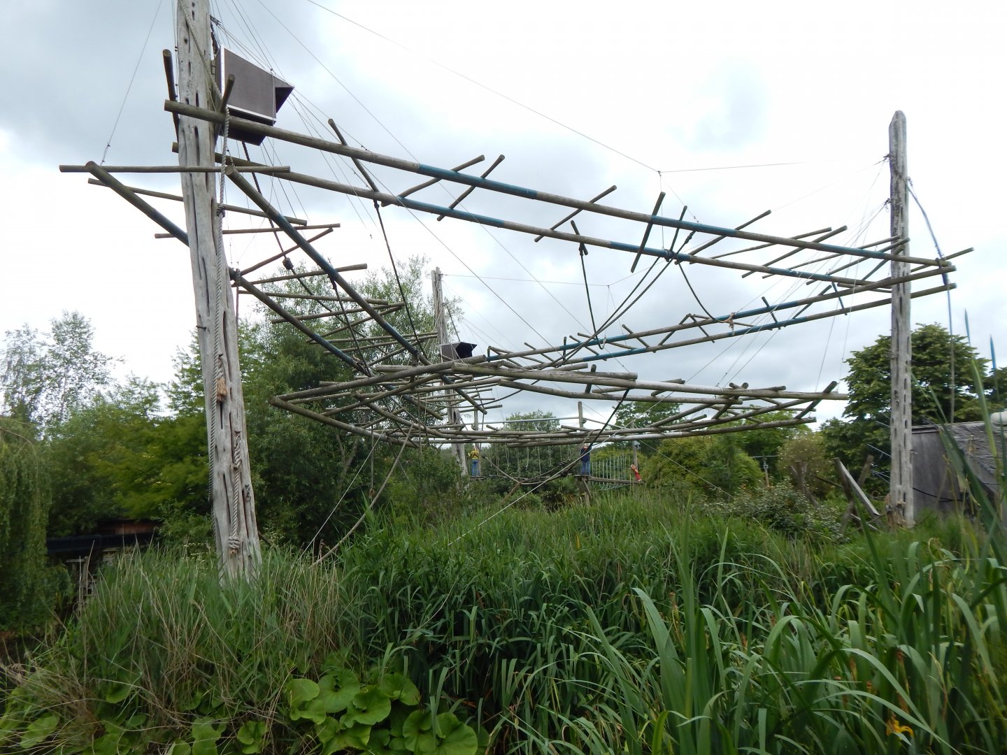 Agile gibbon island 190622