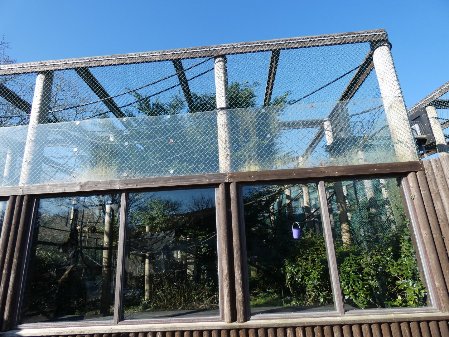 Agile/Lar Gibbon enclosure