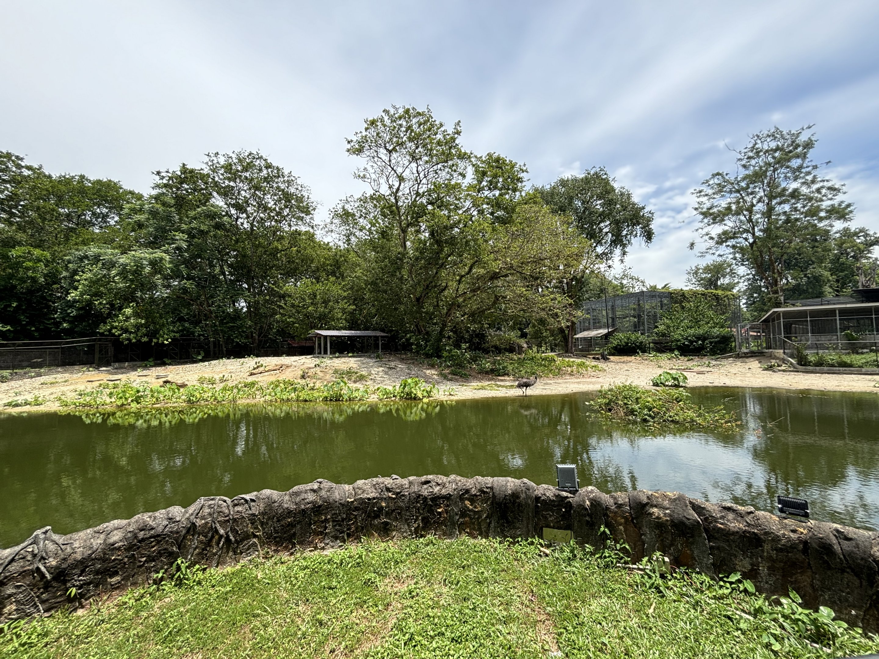Agile Wallaby + Emu + Waterfowl Exhibit