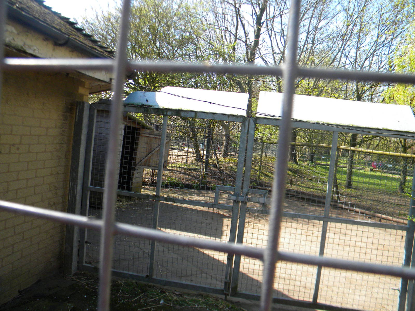 Agile Wallaby enclosure at Blackpool Zoo 10th April 2011