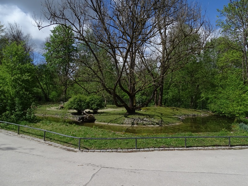 Agile wallaby enclosure