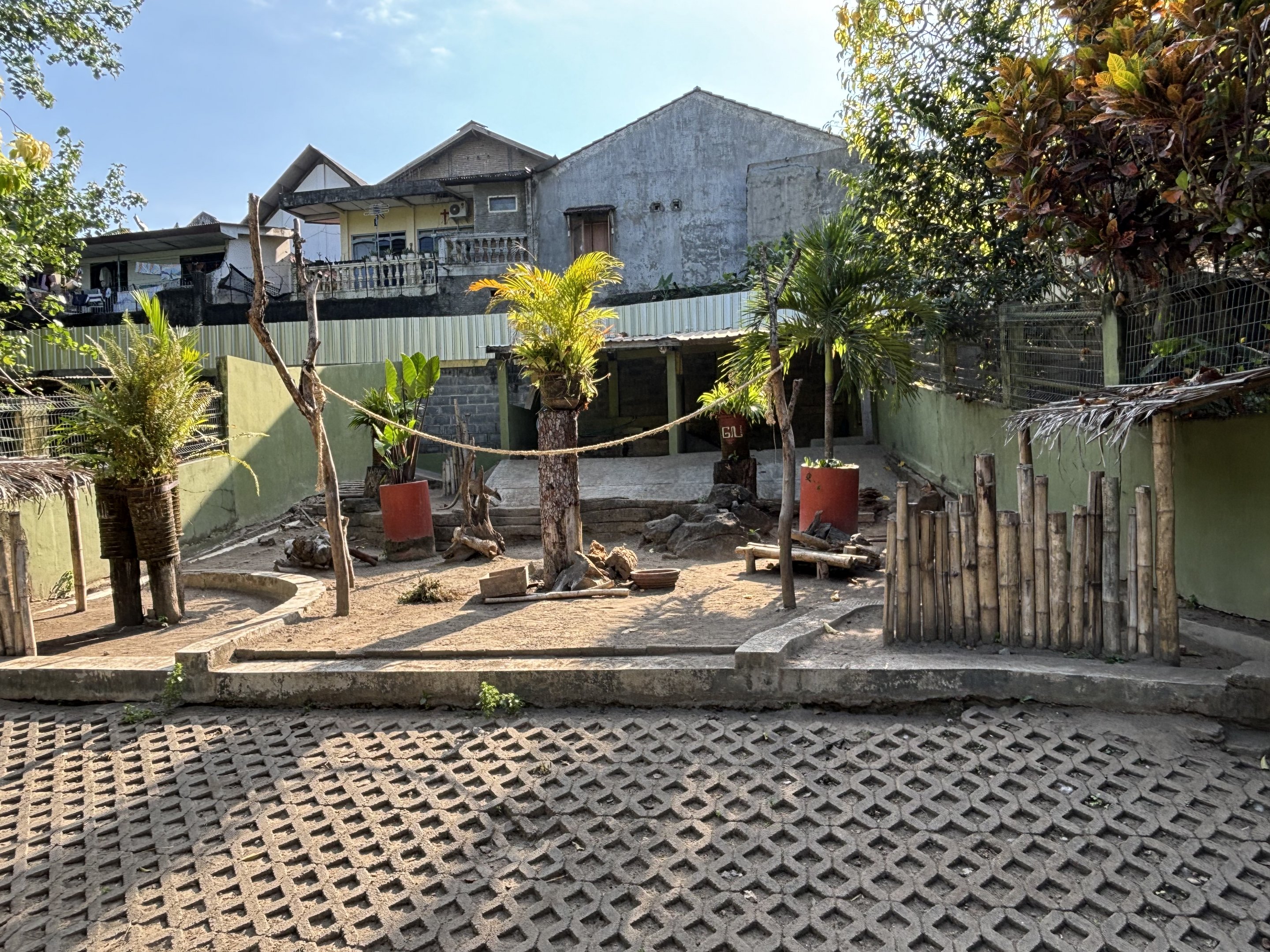 Agile Wallaby Exhibit #1