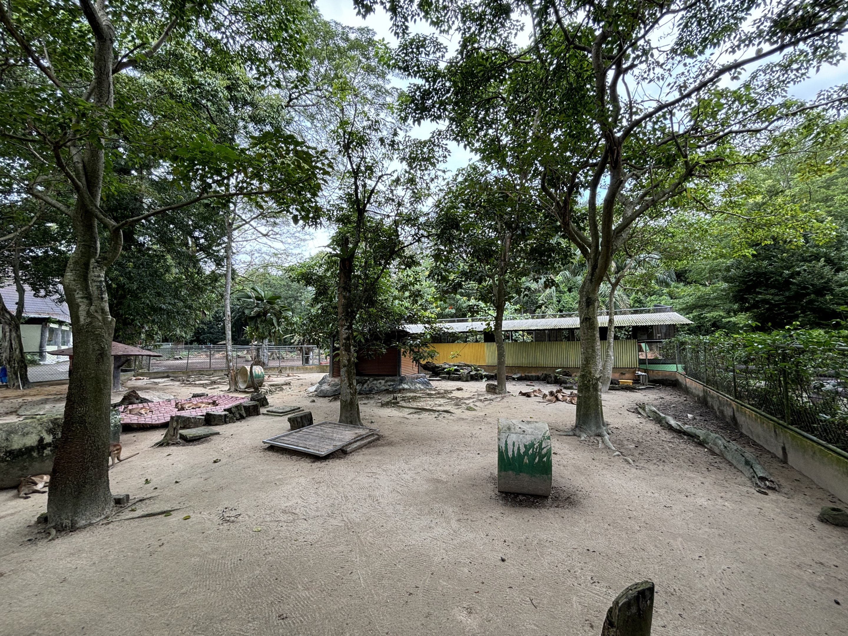 Agile Wallaby Exhibit #2