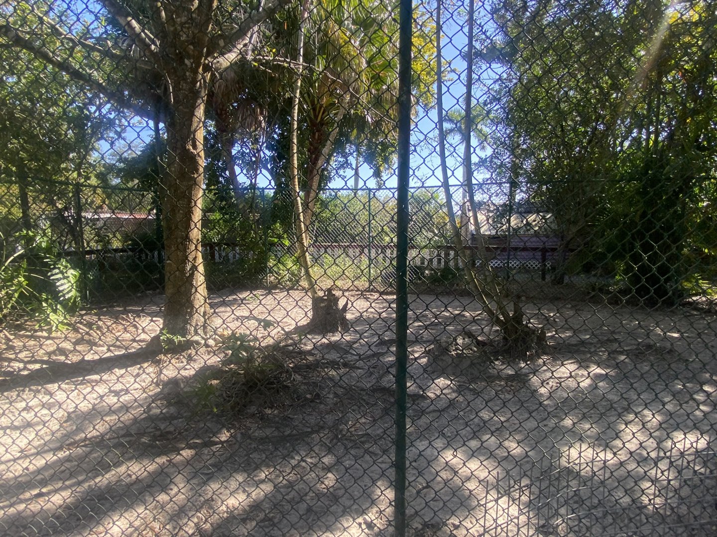 Agile Wallaby/Gopher Tortoise Exhibit