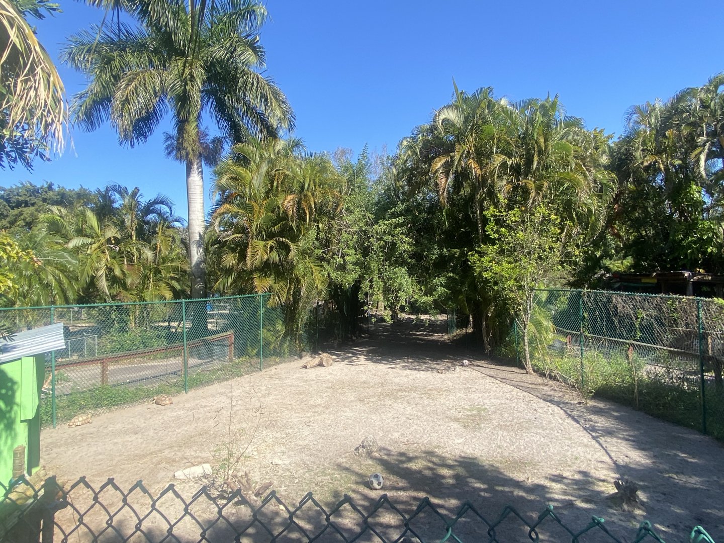 Agile Wallaby/Gopher Tortoise Exhibit
