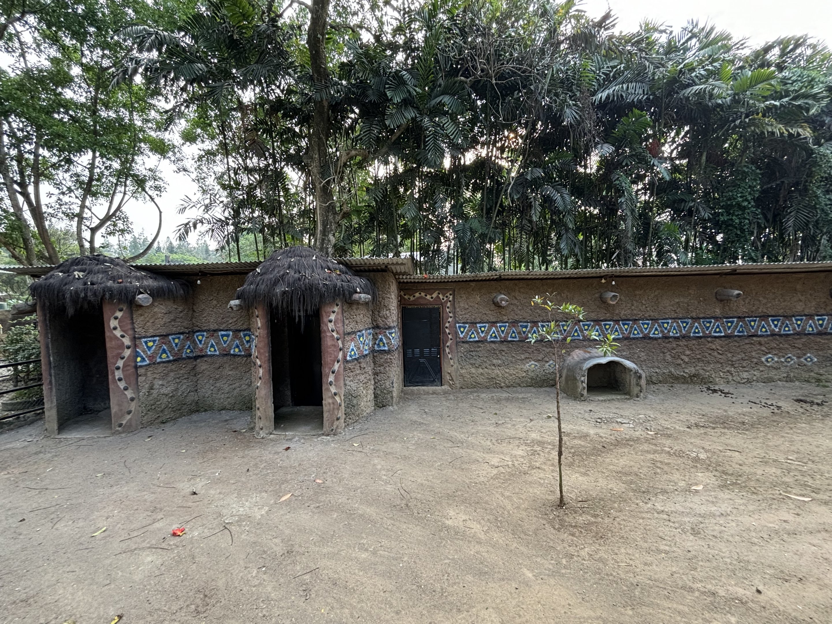 Agile Wallaby + Shetland Pony Exhibit - Royal Safari Garden Resort