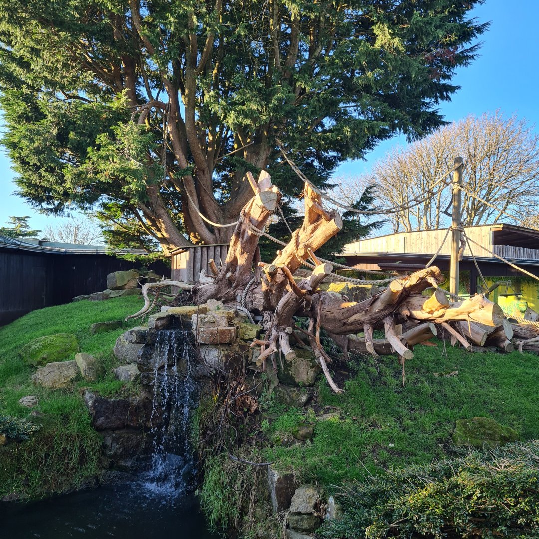 Agouti and Squirrel Monkey Enclosure, Drusillas Park