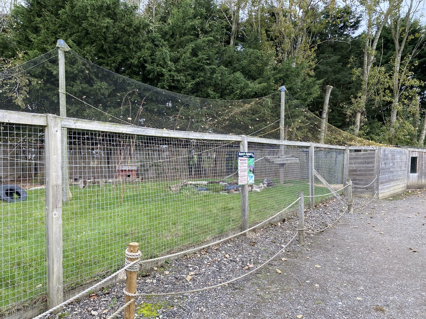 Agouti enclosure, All things wild, UK