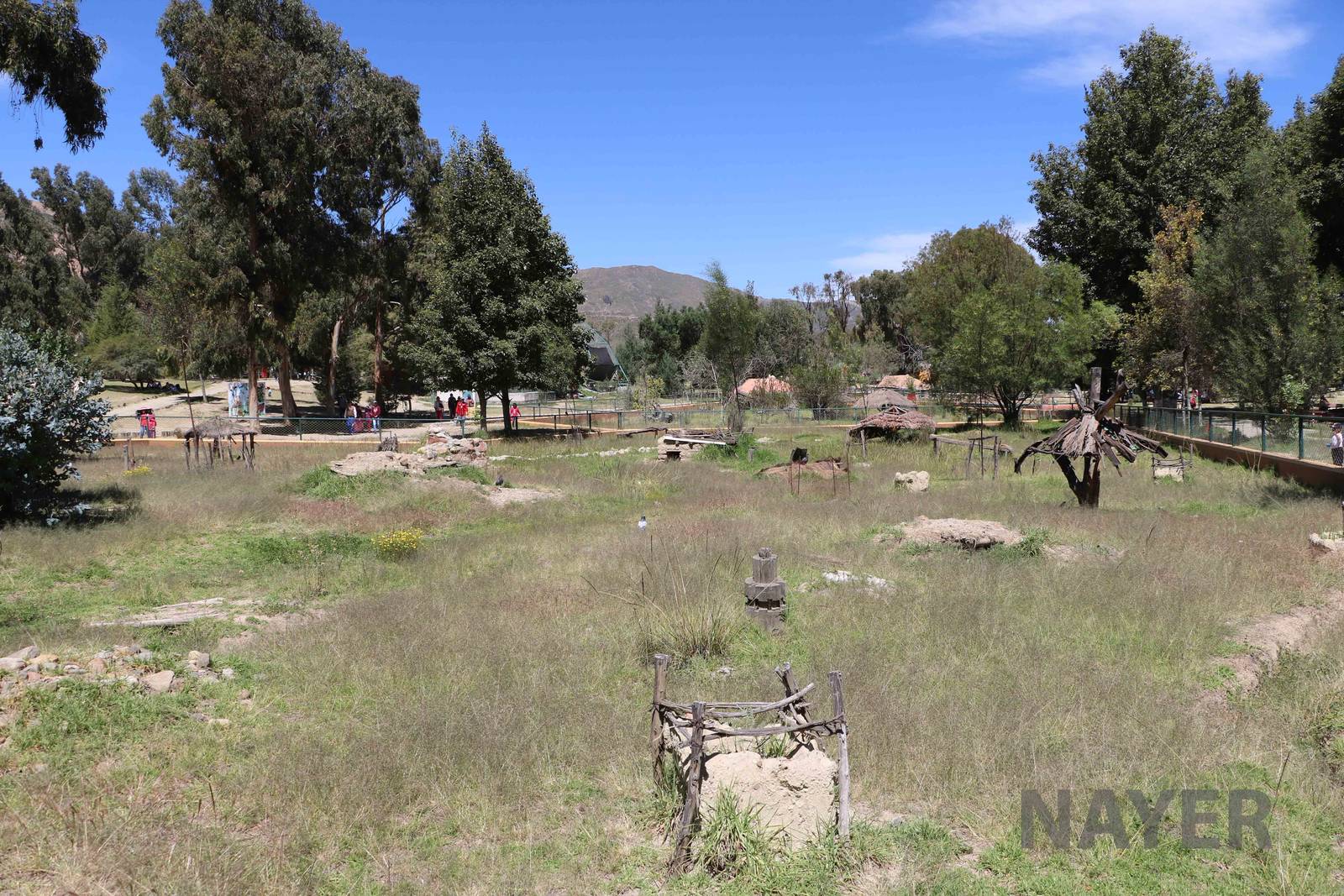 Agouti enclosure, March 2016