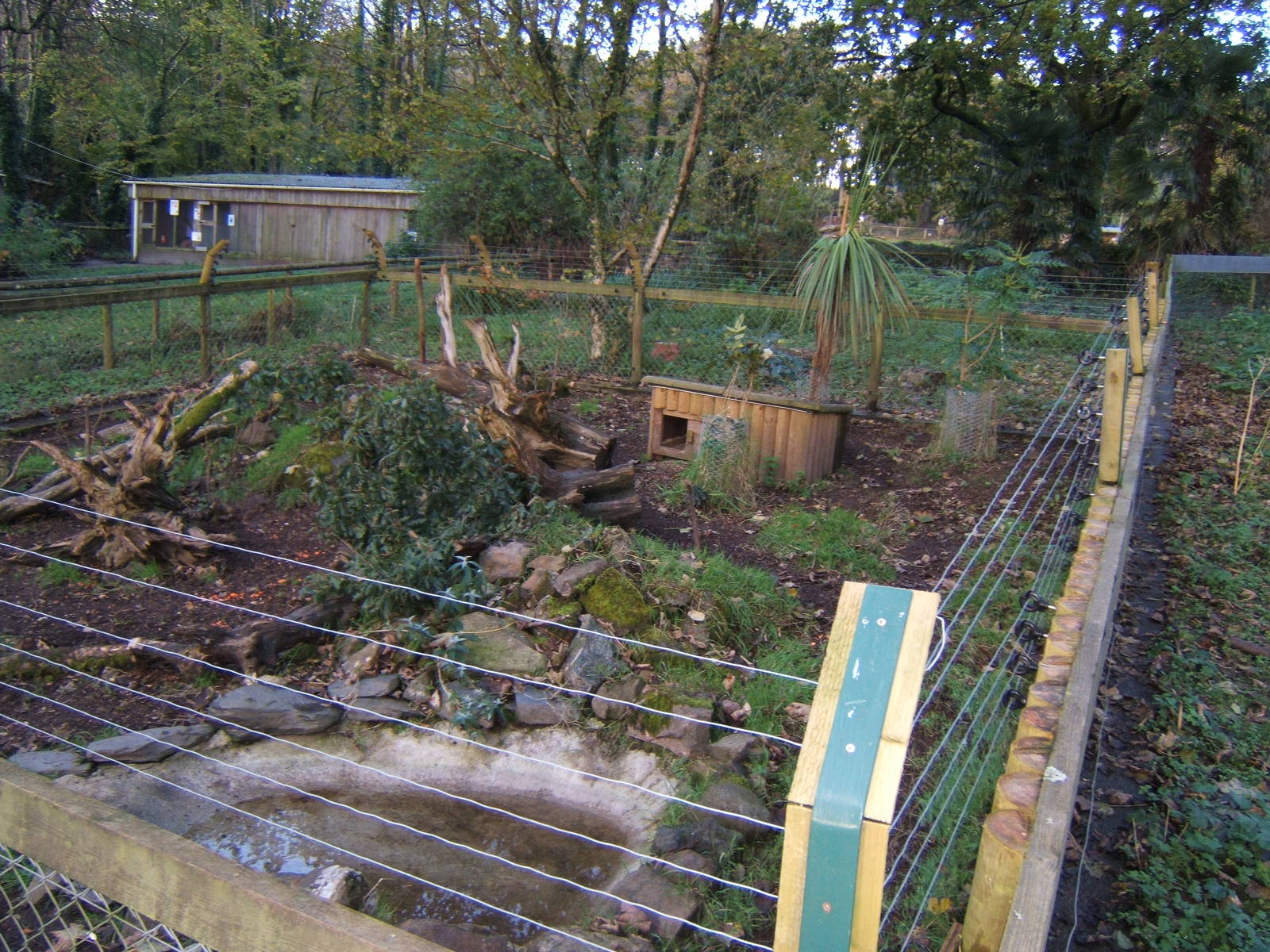 Agouti enclosure