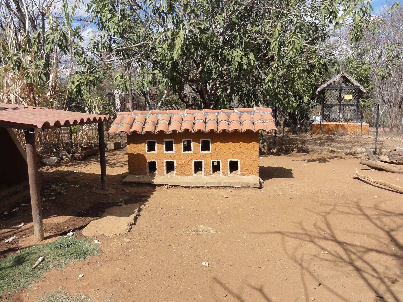 Agouti house