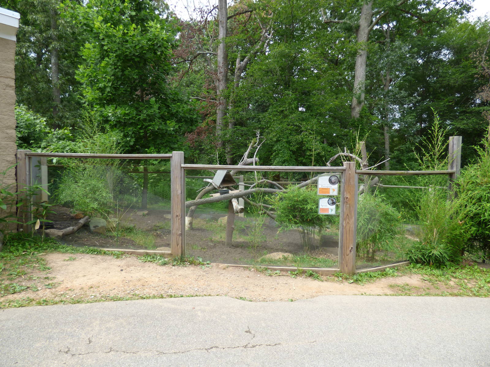 Agouti/Prehensile Tailed Porcupine Exhibit
