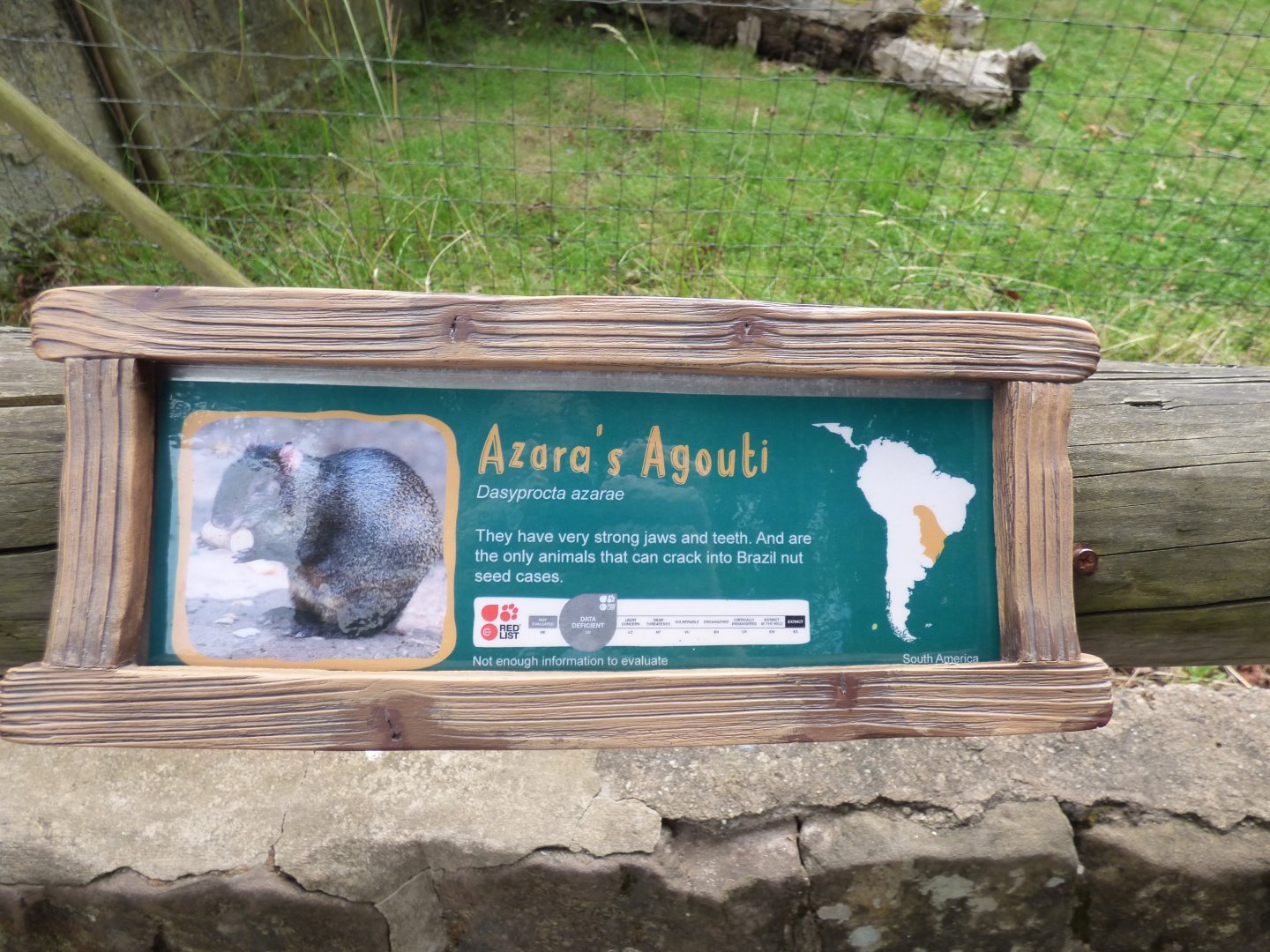 Agouti Signage