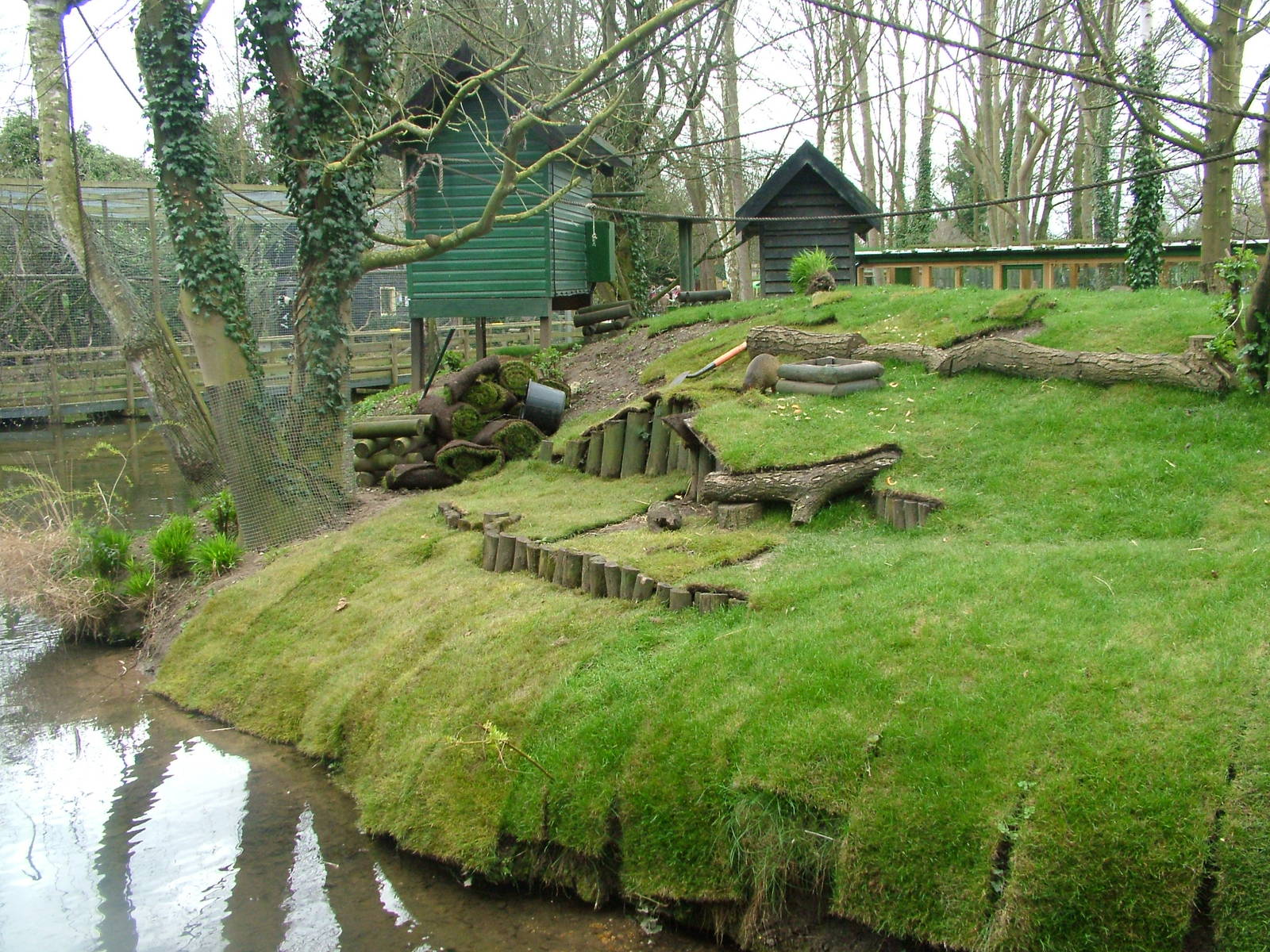 Agouti/Tamarin Island at Shepreth 05/04/10