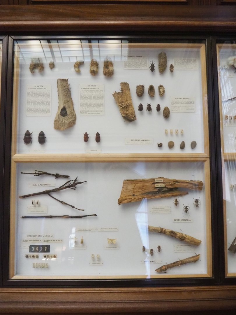 Agricultural pests displays, 2021-10-20