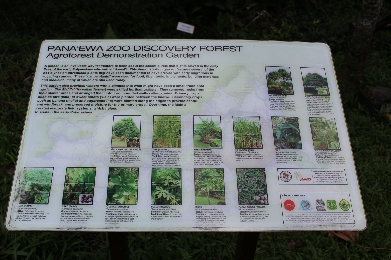 Agroforestry Infographic