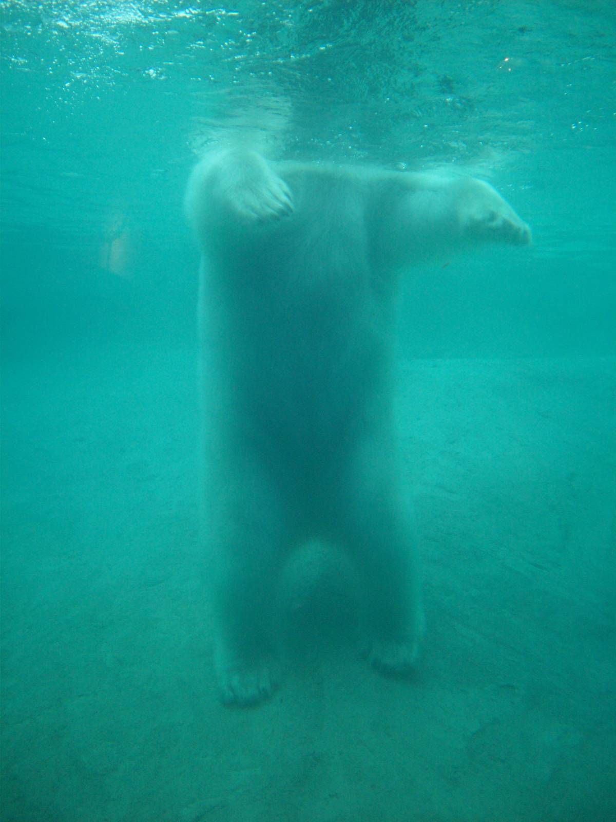 Ahh! Where's my head?