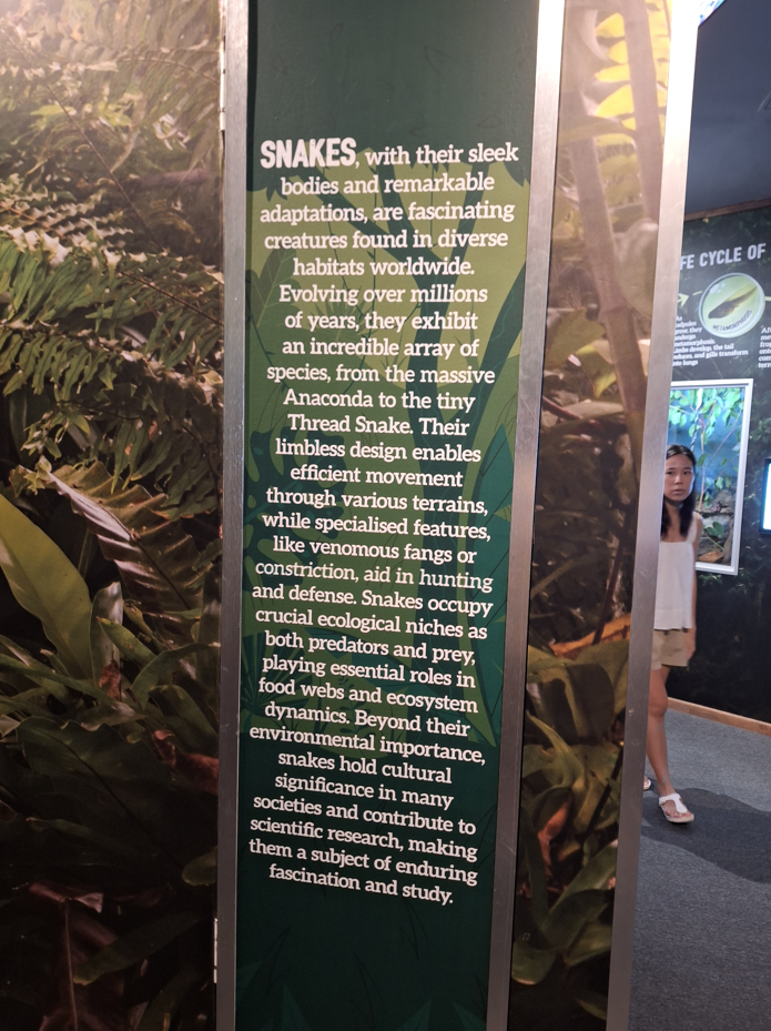 AI-generated signage. Seriously??? - Cairns Koalas and Creatures