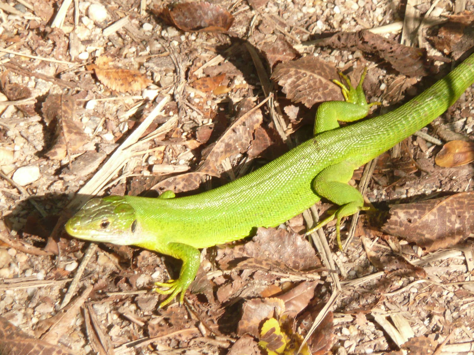 Aiguamolld de l'Emporda Natural Park