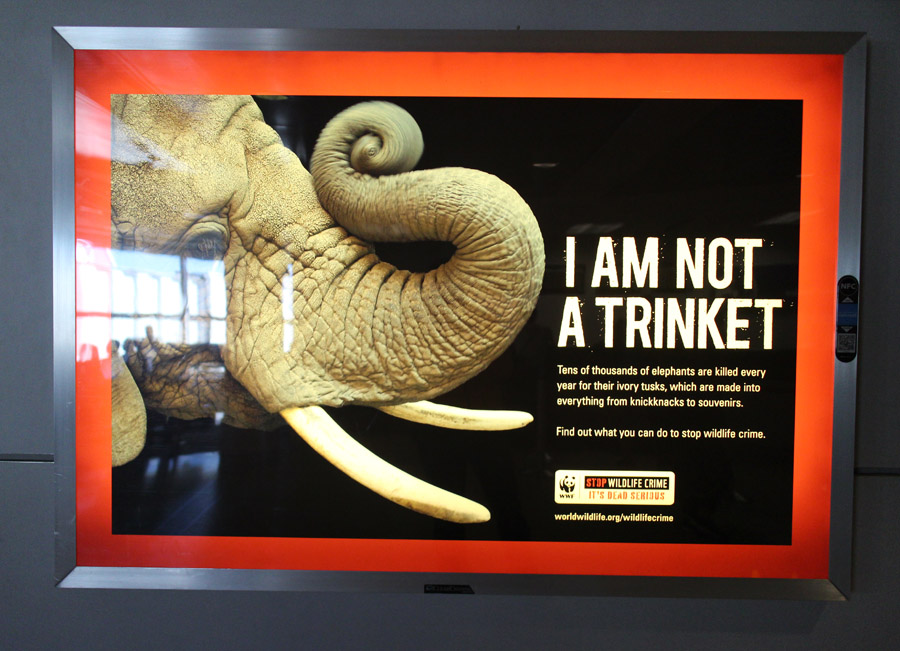 Airport ivory trade sign